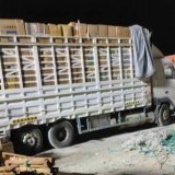 قوات الامن في #شبوة تحبط كمية كبيرة من الأسلحة كانت في طريقها للحوثيين قادمة من #عمان #عمان_تواجه_كورونا