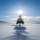 おはようございます。  今日は&hellip;&hellip;言うまでも無く クリスマスイブでございますなぁ。