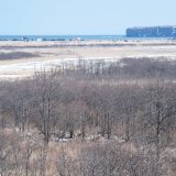 北海道を代表する動物、エゾシカ見え隠れする林と ムツゴロウさんがかつて住んだ嶮暮帰島（右奥の断崖） の写真でお悔やみを。  #畑正憲さん
