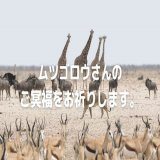 ムツゴロウを偲ぶ「１分間の祈り」サイトを作成しました。ぜひ、ご参加ください。  #1min. PRAY　#１分間の祈り　#ムツゴロウ　#ムツゴロウさん死去 　#偲ぶ　#悲しみ　#感謝の気持ち 　#合掌
