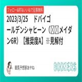 ドバイゴールデンシャヒーン（メイダン6R） 【推奨度A】※見解付  フォローRTいいねしたら無料公開    ｛中京\u25ce単回率は3日連続100%超え｝ 3/18\u25ce単勝回収率249% 3/19\u25ce単勝回収率101% 3/25\u25ce単勝回収率110%  #BOOKERS