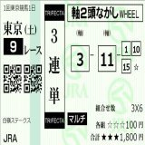 白嶺S \u25ce11クリーンスレイト \u25cb3コンシリエーレ 断然人気3を負かせば好配当  クロッカスS \u25ce8フロムダスク \u25cb3クールムーア\u21e6POG馬 \u25b27サトノヴィレ 応援も兼ねて参加