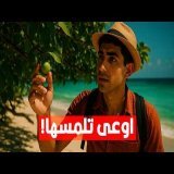 الشجرة دي لو بس وقفت تحتها.. ممكن تقتلك