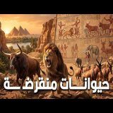 حيوانات منقرضة عاشت في مصر القديمة