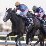 ダイヤモンドステークス G3  \u25ce 2.シルブロン (C.ルメール)  長丁場の鞍上は折り合いの神にお任せするしかないでしょう。 シルブロンも好位から上がりを使えるのでまず馬券から飛ぶイメージはわかず軸はこれしかないです。  #ダイヤモンドステークス #シルブロン