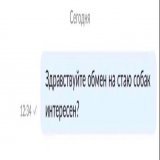 После матча Таджикистан - Россия Валерий Карпин открыл первое попавшееся объявление на Авито