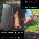 Первый тайм Спартак - Факел