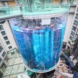 A gigantic aquarium in Berlin ruptured, causing thousands of fish and a million litres of water to burst out - sending a wave of debris out of the building. #9News  MORE: