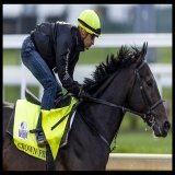 Christophe Lemaire aboard Crown Pride for his blowout work. He looked brilliant through the lens coming around the final turn. #KYDerby #クラウンプライド #ケンタッキーダービー