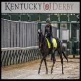 Japanese runner Crown Pride out for a gallop on a muddy Tuesday morning . Excited for his work tomorrow @ChurchillDowns #KYDerby #クラウンプライド #ケンタッキーダービー