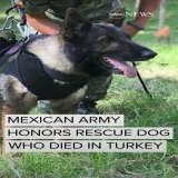 The Mexican army bid an emotional farewell to Proteo, a rescue dog who died while searching for survivors of the earthquake that killed tens of thousands of people in Turkey and Syria.