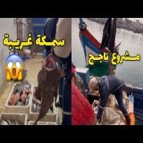 شاب ذكي \ud83d\ude09 ماشاءالله مشروع ناجح \ud83d\udc4f\ud83c\udffb