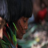 Sobre a trag&eacute;dia humanit&aacute;ria em Terra Yanomami, vale lembrar: