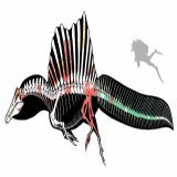 #ジュラシック・パークIII ちなみに今年の「Nture」でスピノサウルスの尾の化石が発見されたと論文発表されました。 これによってスピノサウルスは水生動物だと判明。 ジュラシックパーク3のスピノサウルスは夢となりました