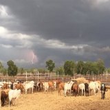 ... it's the seeding, weeding, feeding, breeding, tilling, plowing + planting ... Happy #AgDayAUto everyone working in &amp; supporting the Aus Ag sector @afsnsw @NationalFarmers @tonymahar @annbritton @troysetter @AgForceQLD @GeorgieSomerset @Warrab