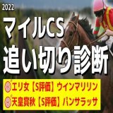 「#マイルCS の追い切り診断」を投稿しました フォローRTいいねしたら無料で読めます！  スプリンターS ジャンダルム(調教S評価) 天皇賞秋 パンサラッサ(調教S評価) エリザベス女王杯 ウインマリリン(調教S評価)  まさに絶好調の調教S評価をご確認ください！