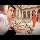 زرت معبد عبدة الفئران في الهند و أكتشفت الحقيقة الو*خة \ud83e\udd2e\ud83c\uddee\ud83c\uddf3