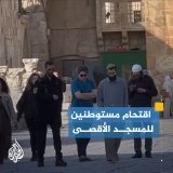 عشرات المستوطنين يقتحمون #المسجد_الأقصى بحماية من جنود الاحتلال صباح اليوم