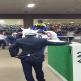 府中牝馬ステークス、ソダシは惜しくも２着 それでも直線でしぶとく頑張りました  吉田隼人騎手は「イメージよりレースが流れたのが誤算でした。でも、この距離でも頑張りました。次が本番なので切り替えたい」と話しました  また次走に期待しましょう  #府中牝馬Ｓ #ソダシ #吉田隼人