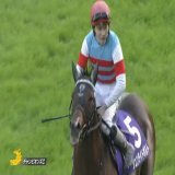 丸田騎手、横山和生騎手、荻野極騎手、坂井瑠星騎手、そして石川騎手  今年はＧ１初勝利の騎手が続いて多いですね。裕紀人おめでとう  #ジュンライトボルト #石川裕紀人  #チャンピオンズC