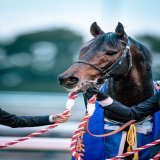 力強い走りお見事でした！ 2023/1/15 中京競馬場 #ヴェルトライゼンデ #日経新春杯
