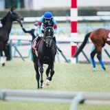 ギラギラしててめっちゃ格好良かった 2023/3/5 中山競馬場 #トップナイフ &times; #横山典弘 騎手 #弥生賞