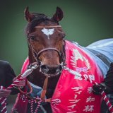 父が叶わなかったクラシック制覇へ 2023/3/5 中山競馬場 #タスティエーラ #弥生賞
