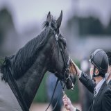 久しぶりのレースお疲れさまでした。 2023/3/5 中山競馬場 #ゴッドファーザー #弥生賞