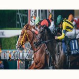 永遠にも感じた最後の直線。 スターズオンアースやダノンザキッドにも魅せられました。 2023/4/2 阪神競馬場 #ジャックドール &times; #武豊 騎手 #大阪杯