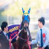 風が強くてマントみたい笑 おめでとう！ 2023/4/8 阪神競馬場 #サウンドビバーチェ #阪神牝馬ステークス