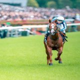 ナランフレグ &times; 丸田恭介 騎手 2023/6/4 安田記念