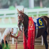 おめでとう！ もう言葉が見つからないよ。 2023/7/12 大井競馬場 #ミックファイア #ジャパンダートダービー