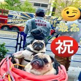 優勝パレード見てきた  #御堂筋パレード  #オリックス優勝パレード  #オリックスパレード  #オリックス・バファローズ