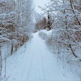 Winter's tale #merrychristmas #happynewyear #goodmorning #GoodLuck #Healthcare