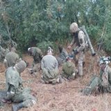 Вместо арбузов на Херсонщине вот такой урожай.  Пожелавший остаться инкогнито один из военных ВСУ сказал что сейчас пакуют россиян на Юге пачками. Переживает лишь об одном,что скоро скотч закончится.