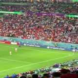 During the France vs Tunisia World Cup game, a fan invaded the pitch waving the flag of Palestine   The crowd responded with 'Filastin' chants.