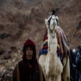 جبل موسى، كاتربن، جنوب سيناء  #documentaries2000 #documentaryphotography  #documentaries  #egypt  #everydayegypt #cathrine #portraitphotography #portrait #creativemagazine  #sinai #photooftheday #everydaysinai #akasimagazine  #apfmagazinesreetphotogr