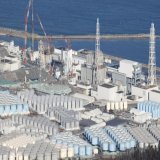 Έ&nu;&tau;&omicron;&nu;&epsilon;&sigmaf; &alpha;&nu;&tau;&iota;&delta;&rho;ά&sigma;&epsilon;&iota;&sigmaf; &alpha;&pi;ό &omicron;&rho;&gamma;&alpha;&nu;ώ&sigma;&epsilon;&iota;&sigmaf; &pi;&rho;&omicron;&sigma;&tau;&alpha;&sigma;ί&alpha;&sigmaf; &tau;