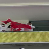 مبارك لأسود الأطلس الفوز والتأهل للدور الـ16  رجال    #كندا_المغرب #كاس_العالم_FIFA #قطر_كأس_العالم_2022
