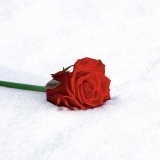 #فضفضه  - المرأة هي الحياة هي الصديق وقت الضيق هي من أوصاكم بها رسولنا فقال " إنما النساء شقائق الرجال ما أكرمهن إلا كريم ، و ما أهانهن إلا لئيم و كـرّمها الله في مواضع كثيرة من القرآن ..فـ رفقاً بالقوارير..