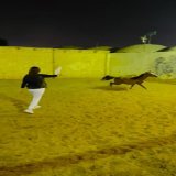 الخيل والليل والبيداء تعرفني \ud83d\ude05