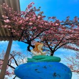 東京の素敵な桜と人魚 素敵ですﾈ  どこかわかる方いたらすごい