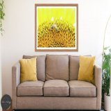 Honey Bee And Sunflower by #AndreaAnderegg SHOP HERE:  #valentines #valentinesday #sale #fineart #homedecor #dormdecor #inspirational #minimalism #buyart #artforsale #quotes #wallart #BuyIntoArt #AYearForArt #ArtDistrict #BuyArtNotCandy #PhotographyI
