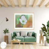 #Dogwood by #AndreaAnderegg SHOP HERE:  #valentines #valentinesday #sale #fineart #homedecor #dormdecor #inspirational #minimalism #buyart #artforsale #quotes #BuyIntoArt #AYearForArt #ArtDistrict #BuyArtNotCandy #PhotographyIsArt #AndreaAnderegg #Ea