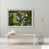Butterfly by #AndreaAnderegg SHOP HERE:  #valentines #valentinesday #artsale #sale #fineart #homedecor #dormdecor #inspirational #minimalism #buyart #artforsale #quotes #wallart #BuyIntoArt #AYearForArt #ArtDistrict #BuyArtNotCandy #PhotographyIsArt
