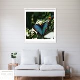 Butterfly by #AndreaAnderegg SHOP HERE:  #valentines #valentinesday #artsale #sale #fineart #homedecor #dormdecor #inspirational #minimalism #buyart #artforsale #quotes #wallart #BuyIntoArt #AYearForArt #ArtDistrict #BuyArtNotCandy #PhotographyIsArt