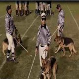 The refs be like #MIAvsBUF