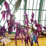 There's always something beautiful in front of you. you just need to know how to see.  #Sun #sunny #sunshine #tree #trees #Bellagio #conservatory #leaf #leaves #high #up #PhotoOfTheDay #ArtOfTheDay #BestOfTheDay #Vegas #SinCity #LasVegas #purple #ind