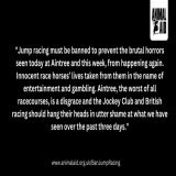 RIP Hill Sixteen, who was killed at the first fence of the  #GrandNational at #Aintree this afternoon.   Another innocent horse has their life taken from them in the name of entertainment and gambling.   #BanJumpRacing #YouBetTheyDie