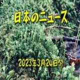 言っちゃあアレですが、おいらはガーシーの事はよく思っていません 怪しい何かを感じている、とだけ書きますね！  日本のニュース《2023年3月24日分／ガーシー実家に家宅捜索、サル痘・インフルはじめました》｜サナメ @saname #note